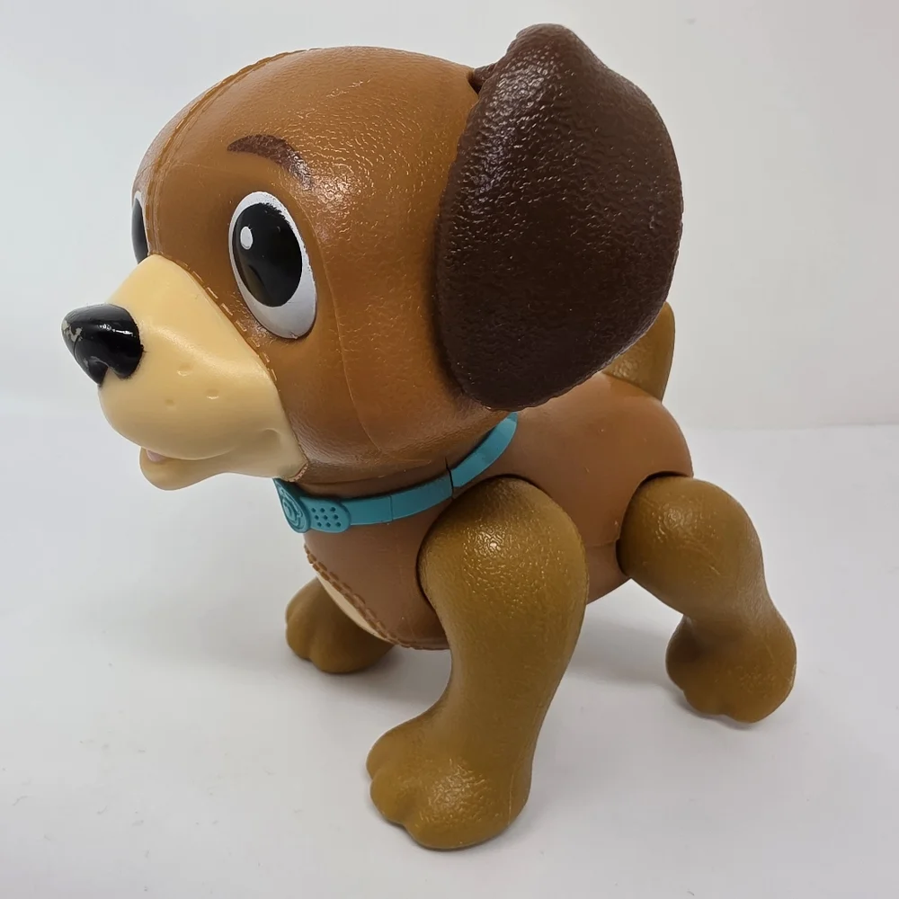 N/A dog has